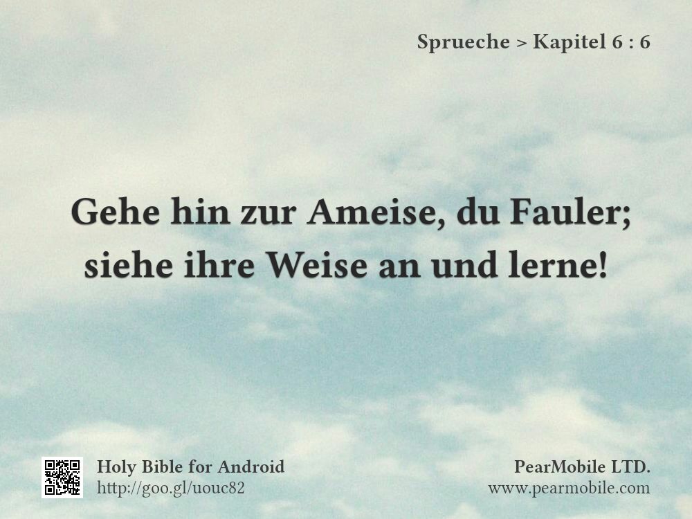 Sprueche, Kapitel 6:6
